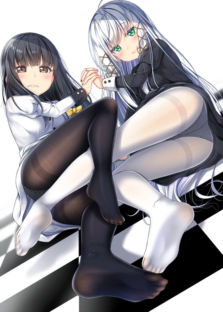 二次元丝袜美腿：黑白双色 36P