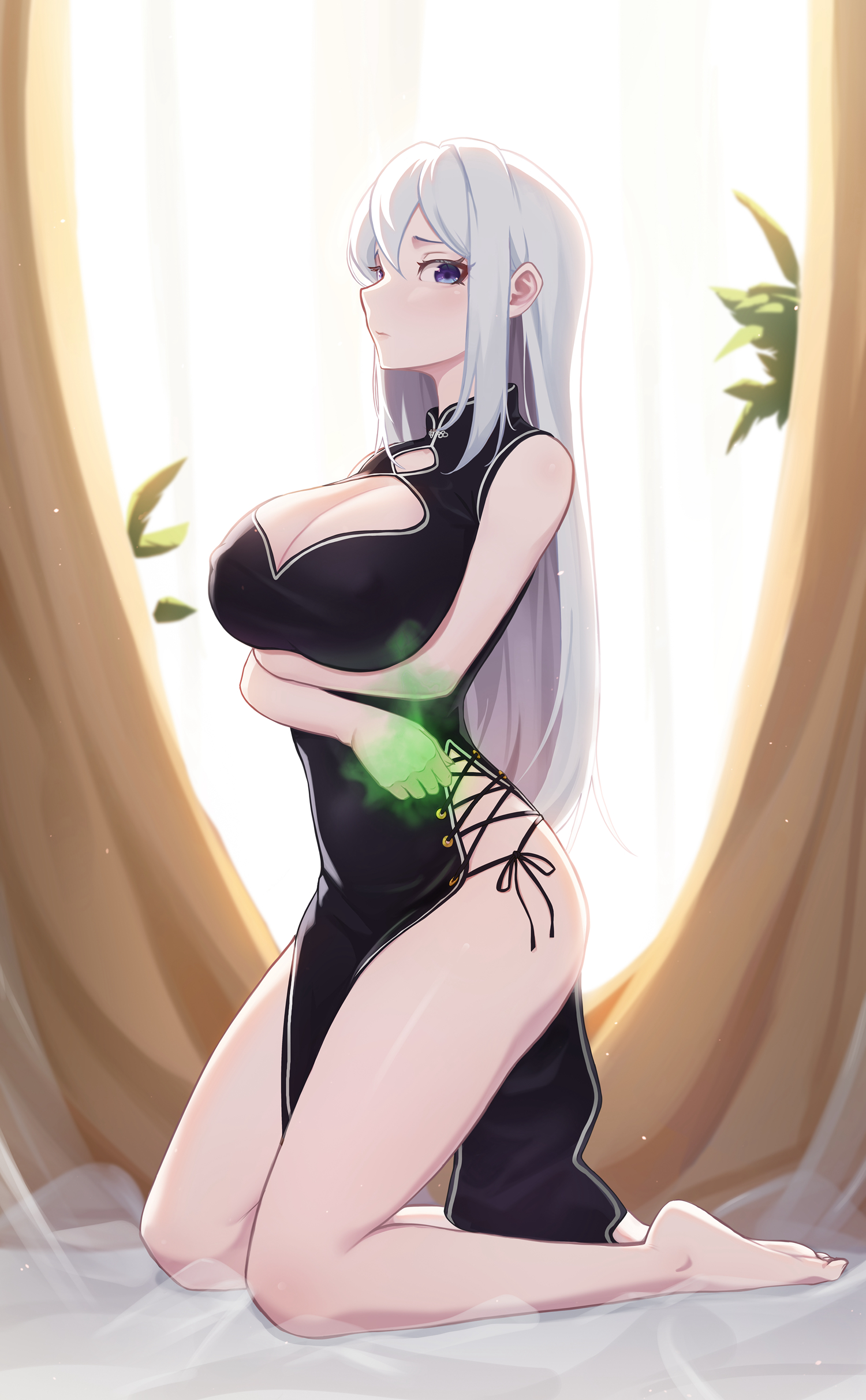 二次元福利旗袍娘高清图片 40P