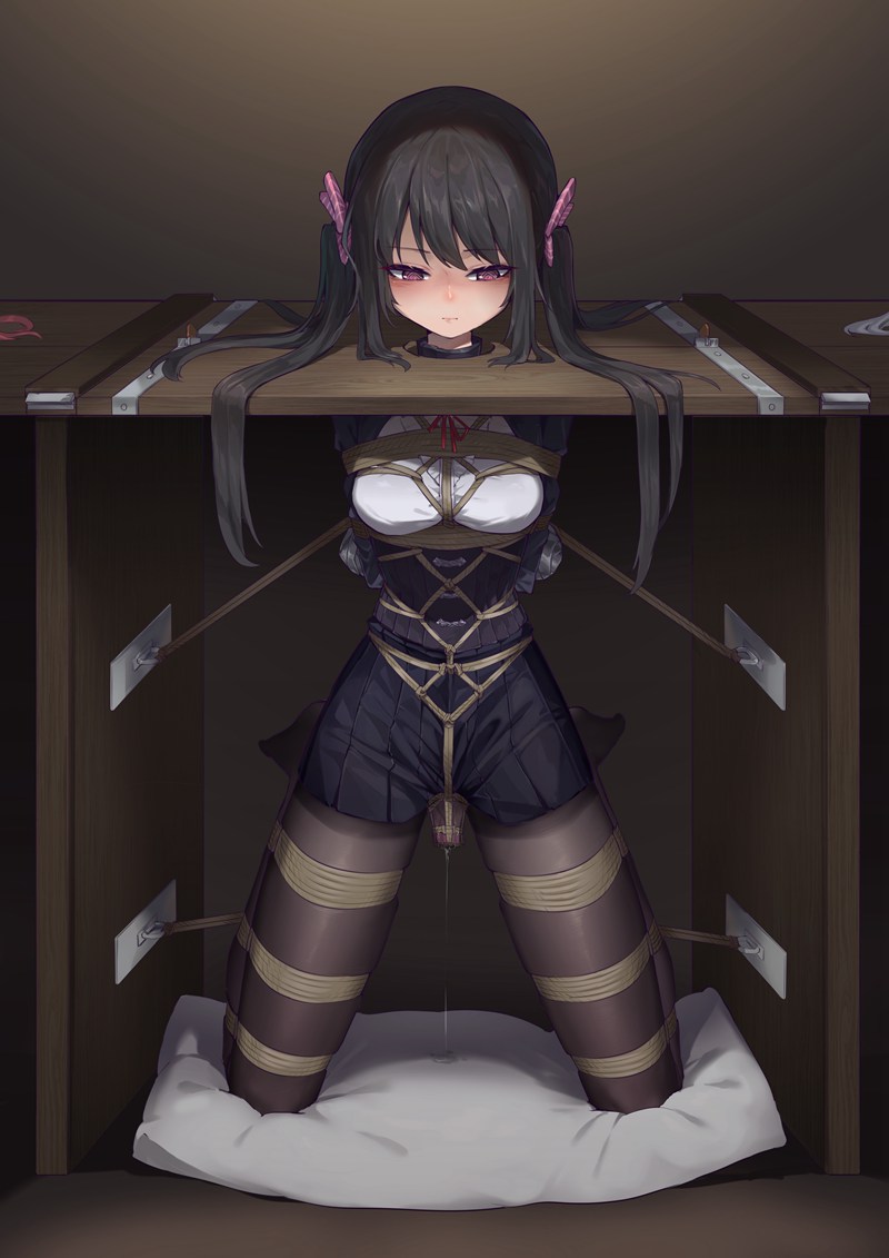 Hentai：二次元捆绑束缚图片 patr17 40P