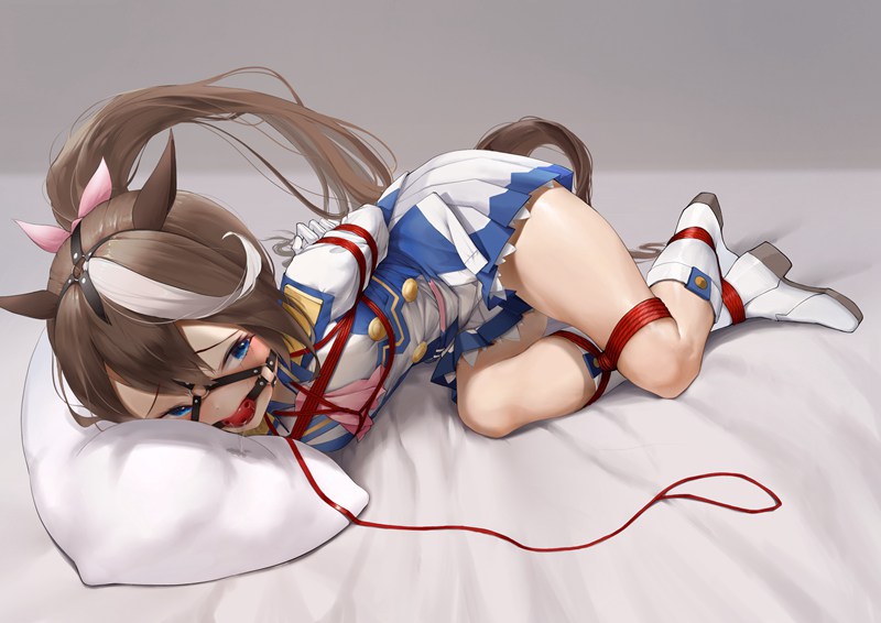 【ACG壁纸】二次元绳艺Vol.6|48张窒息级捆绑美学|紧缚×拘束×束缚|超清永久资源包