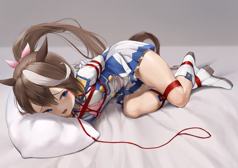 【ACG壁纸】二次元绳艺Vol.6|48张窒息级捆绑美学|紧缚×拘束×束缚|超清永久资源包