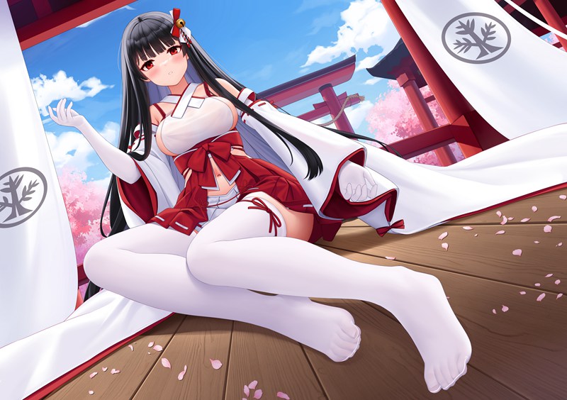 【二次元足控特辑】Vol.5|40张丝袜×足控禁区|过膝袜×网袜×绝对领域|超清原图资源包