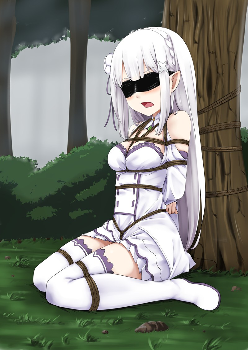 [补充]二次元绳艺图鉴Vol.15