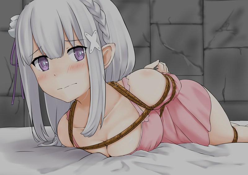 [补充]二次元绳艺图鉴Vol.15