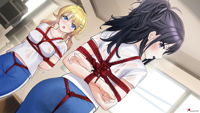 二次元绳艺图鉴Vol.18｜41张绳艺紧缚图｜麻绳×捆绑×超清图包