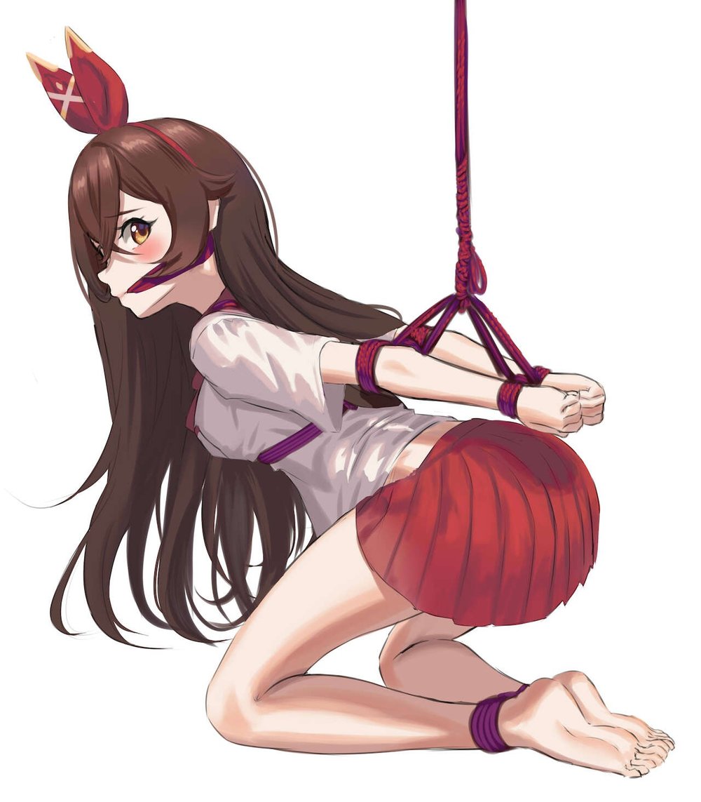 二次元捆绑图：原神捆绑 36P