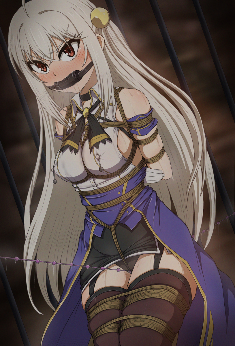 A区二次元捆绑牢图补档3（30P）