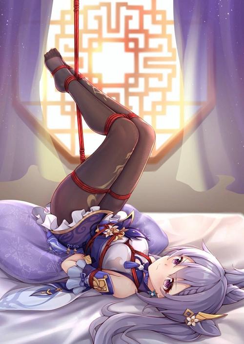 二次元捆绑图：原神捆绑 36P