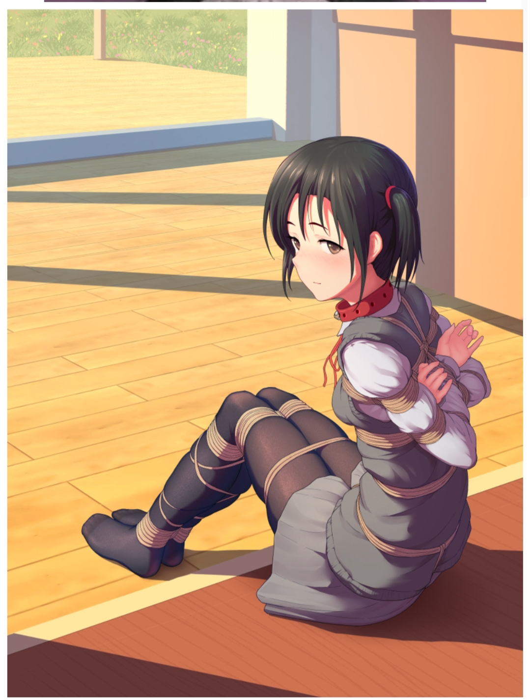 二次元绳艺捆绑美图25P