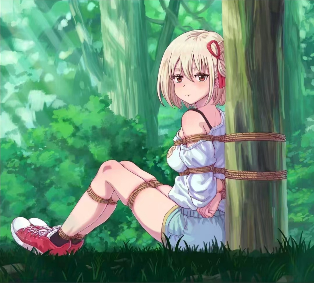 kb二次元捆绑图（三）