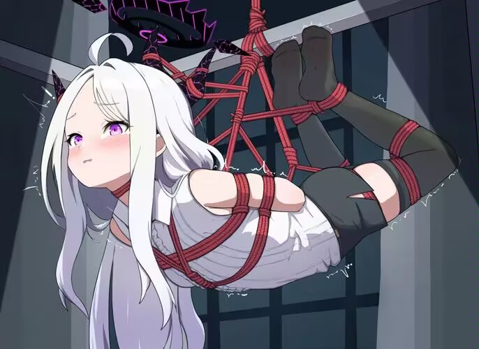 kb二次元捆绑图（四）30P