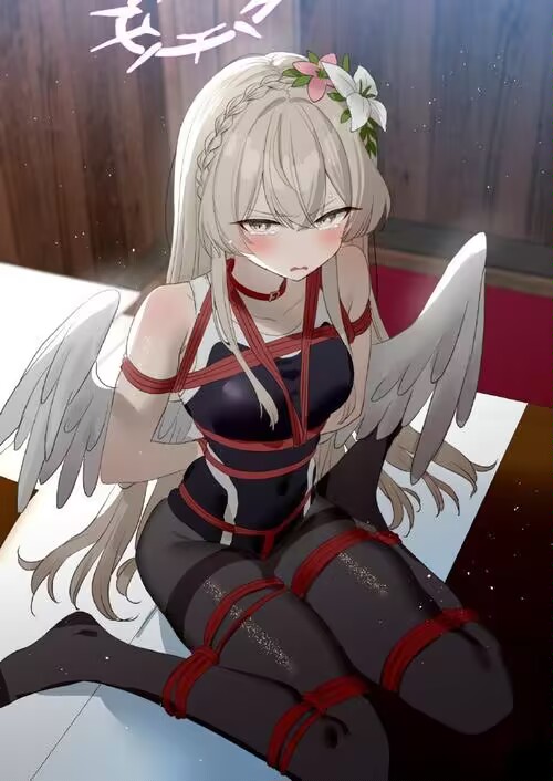 kb二次元捆绑图（四）30P