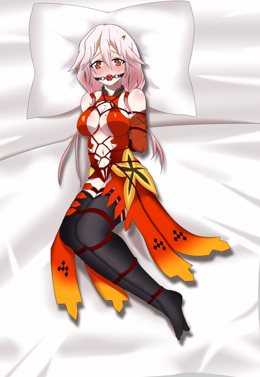 二次元绳艺捆绑束缚图片21P