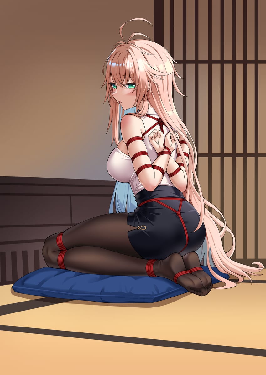 二次元绳艺捆绑束缚图片21P