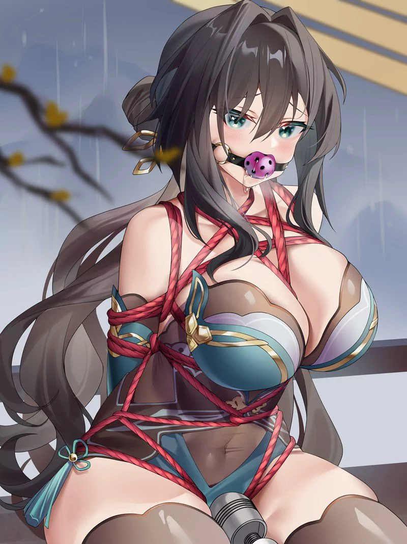 二次元捆绑图10P