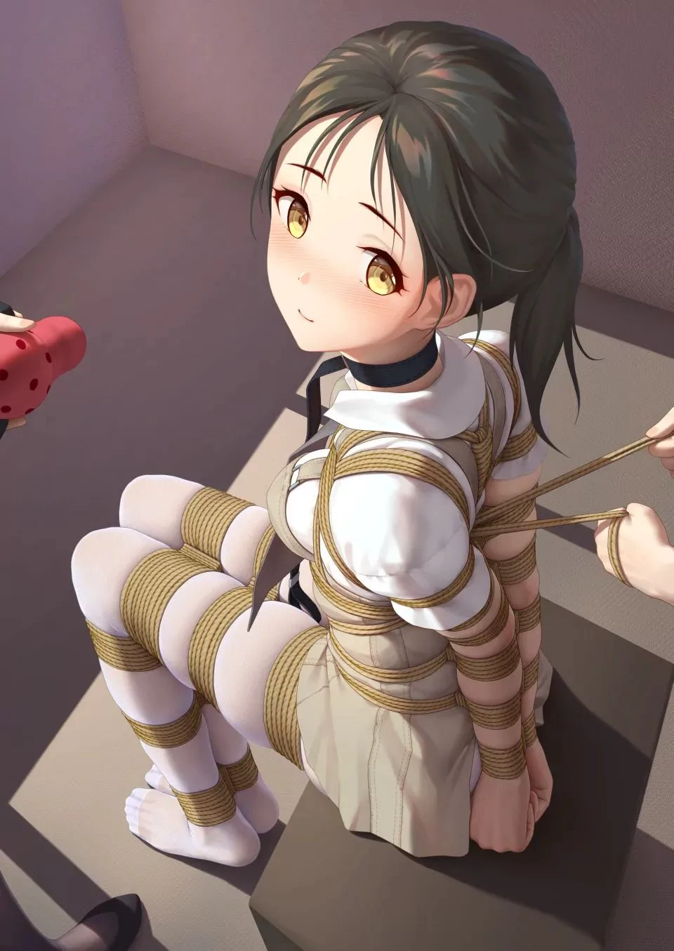 二次元捆绑图35P