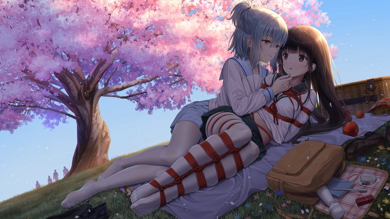 二次元捆绑图35P