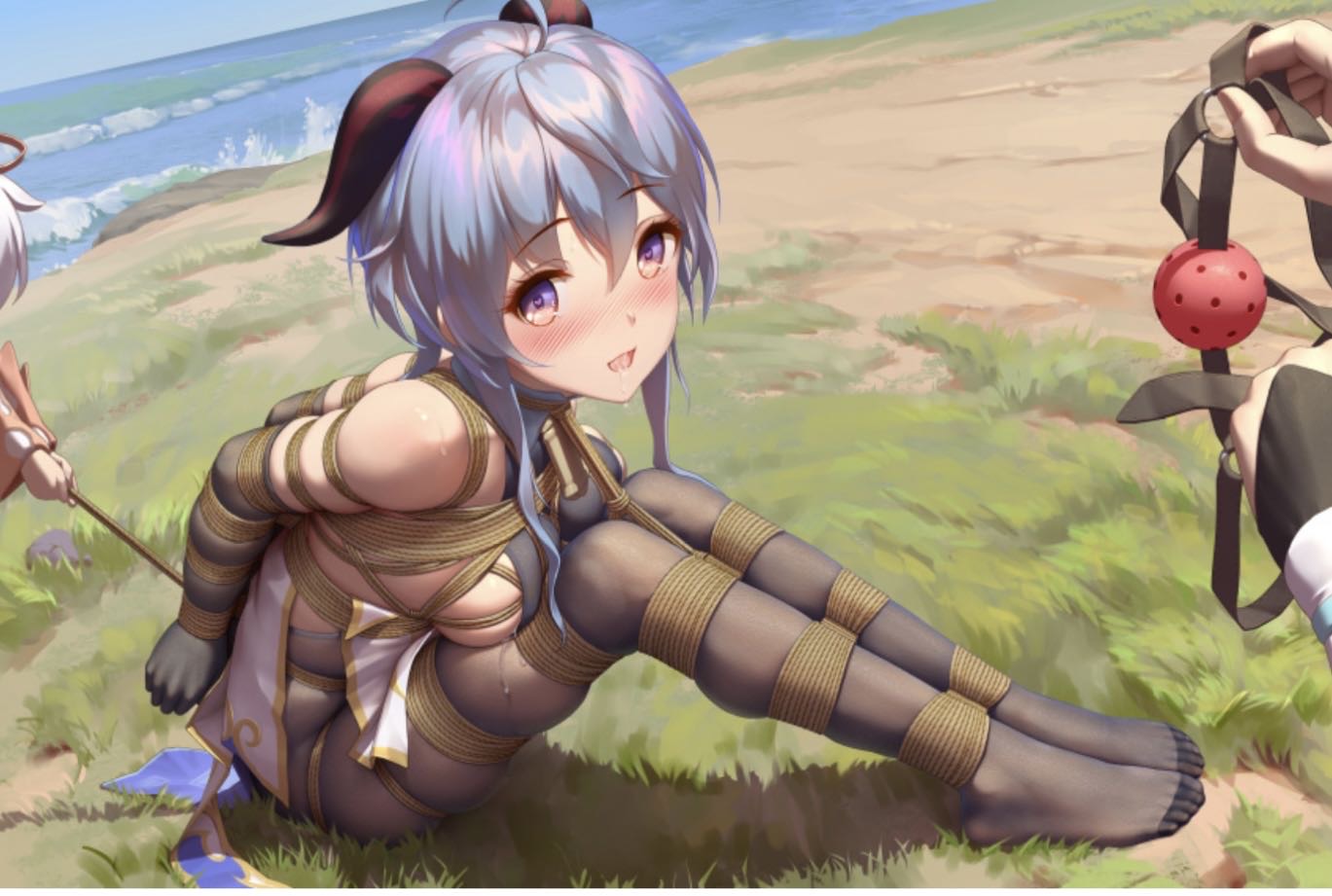 绳艺捆绑二次元美图 14P