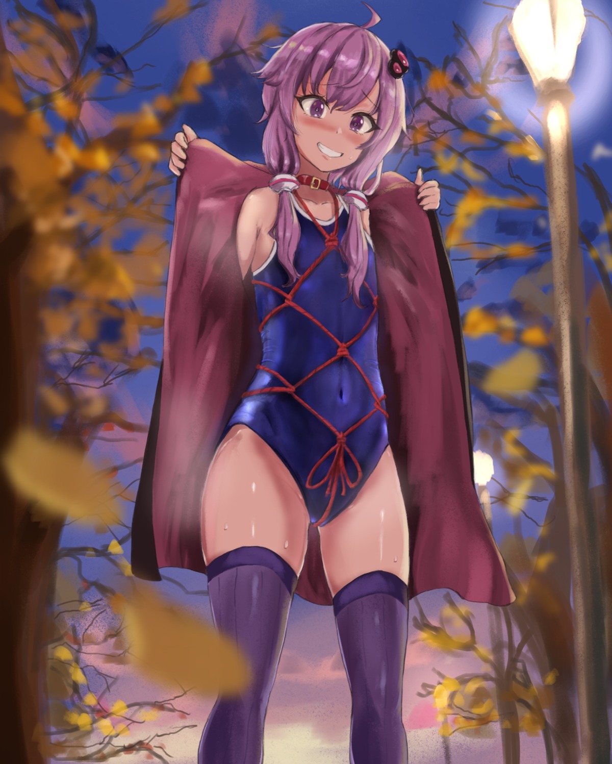 A区二次元捆绑牢图补档8（30P）