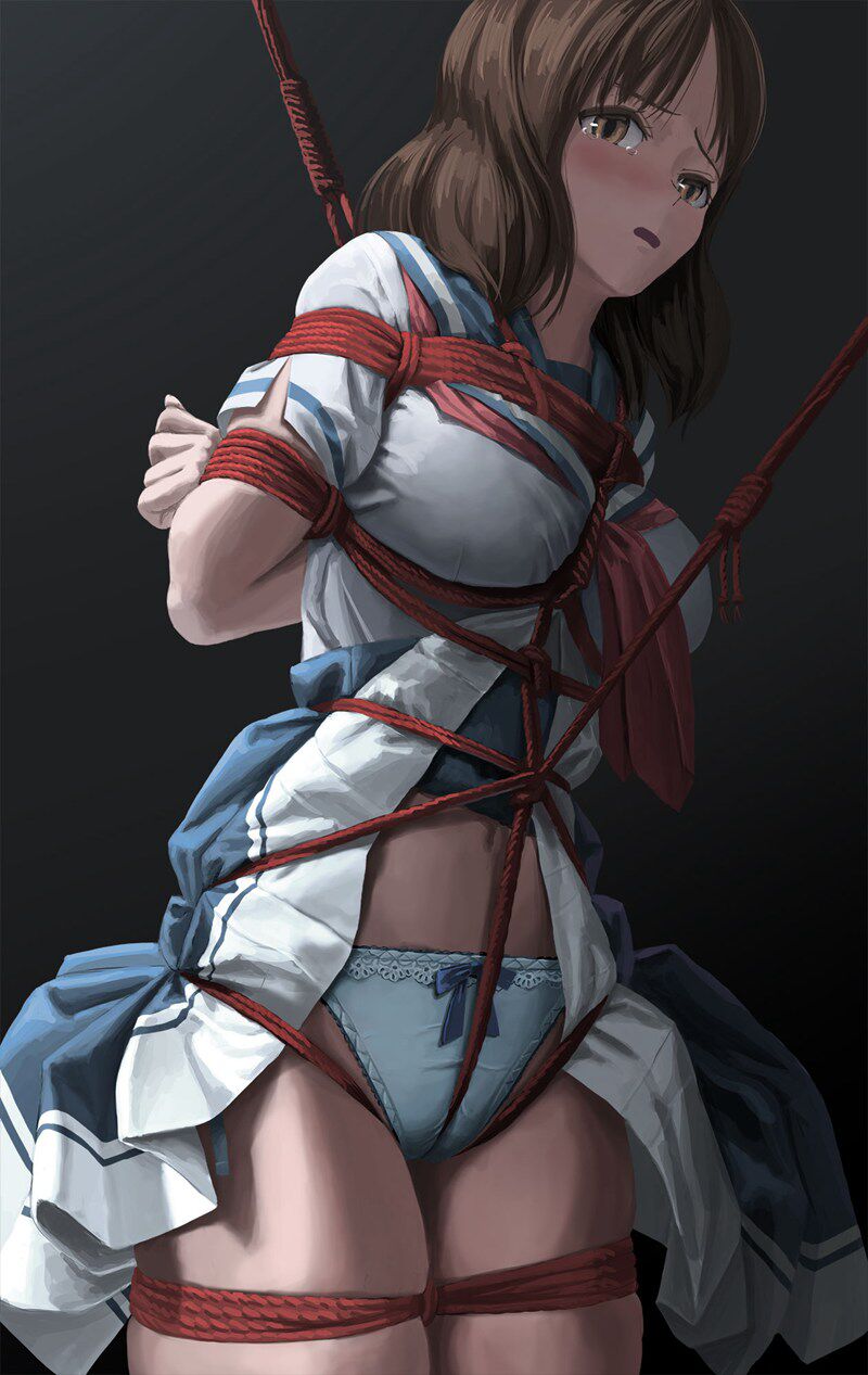 新人首发二次元捆绑图 29P