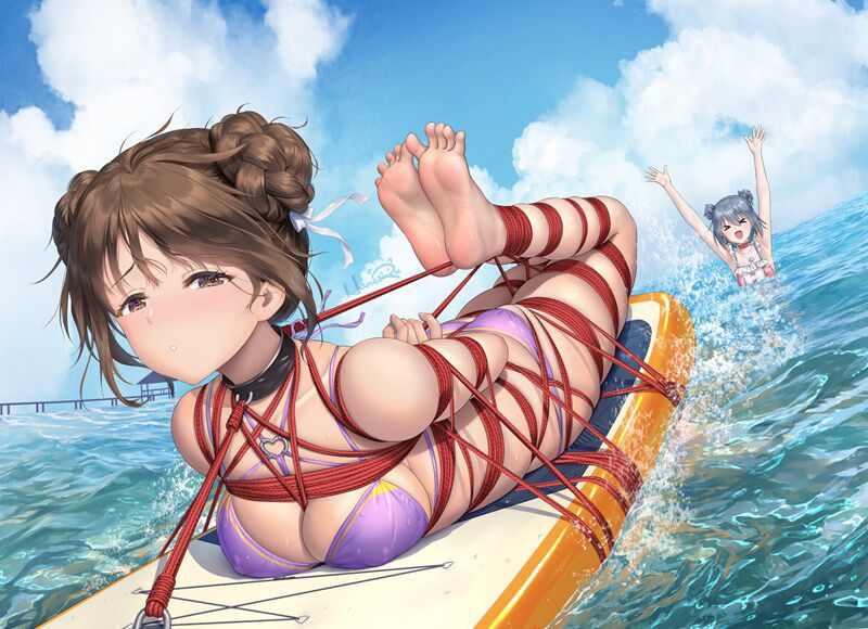 新人首发二次元捆绑图 29P