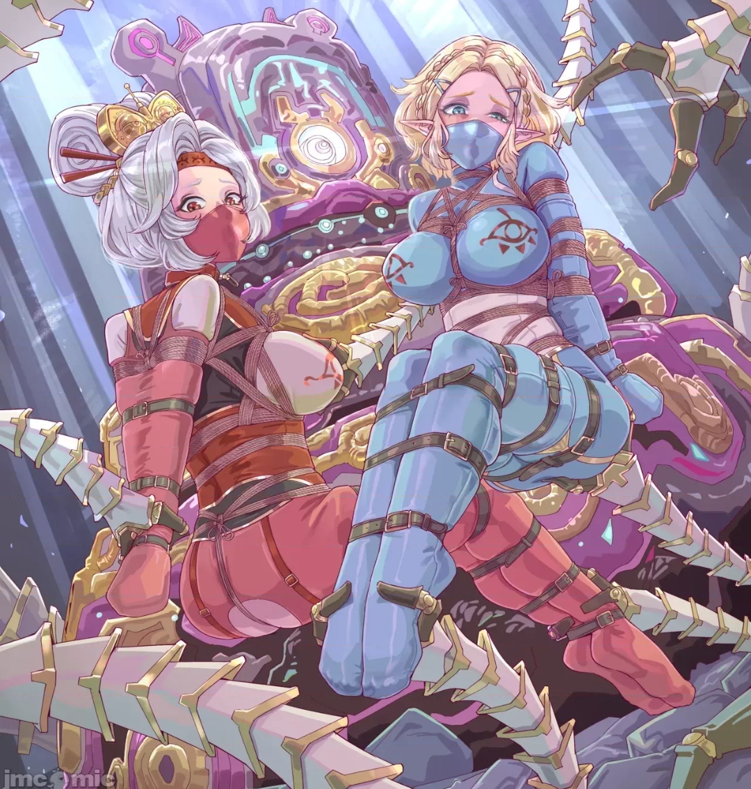 二次元捆绑美图 14P