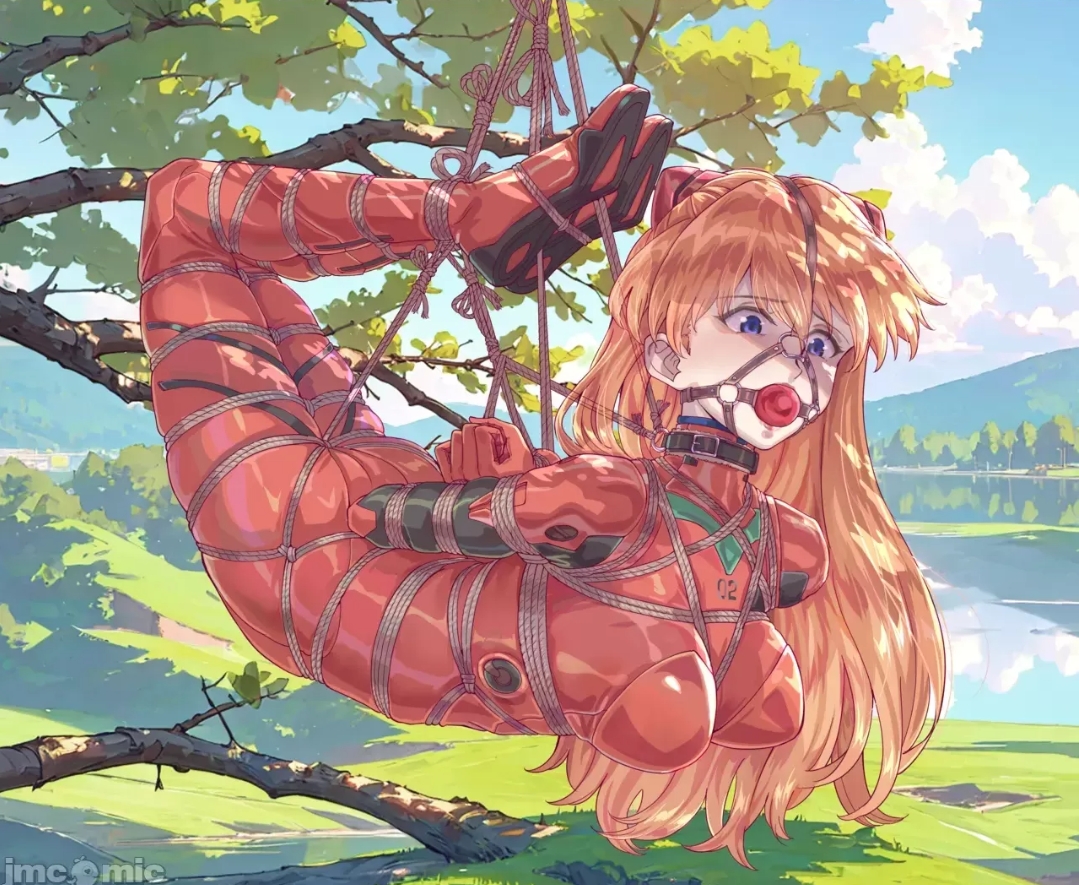 二次元捆绑美图 14P