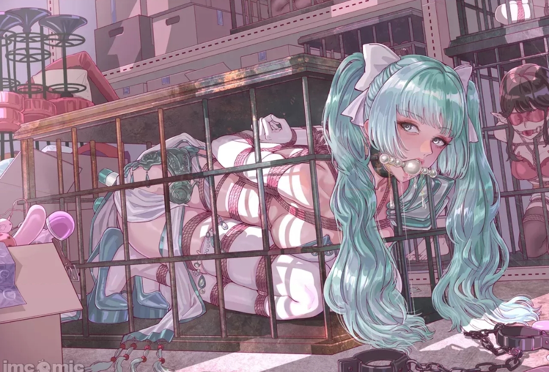 二次元捆绑美图 14P