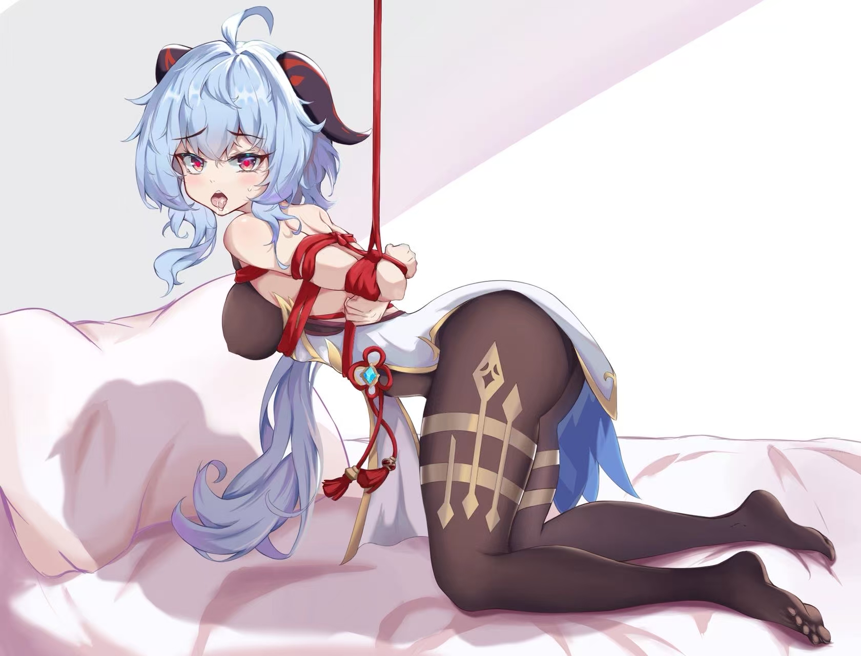 二次元绳艺捆绑美图 29P