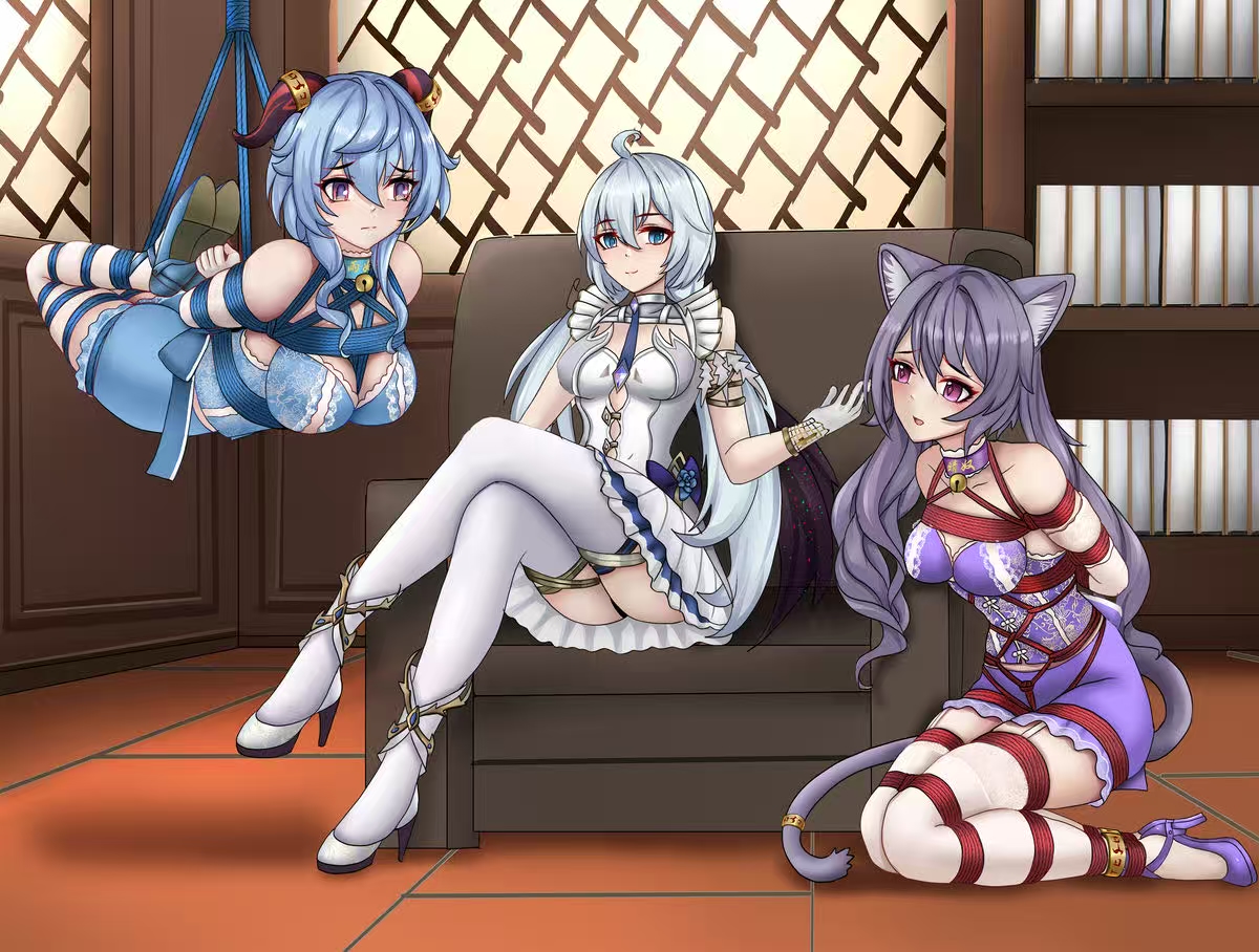 二次元绳艺捆绑美图 29P