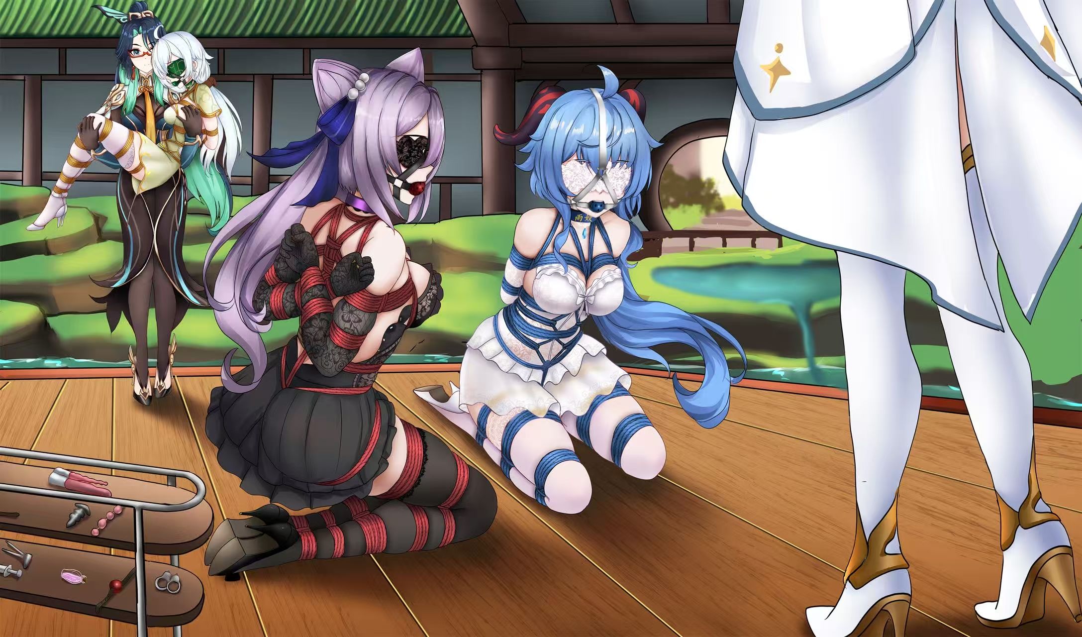 二次元绳艺捆绑美图 29P