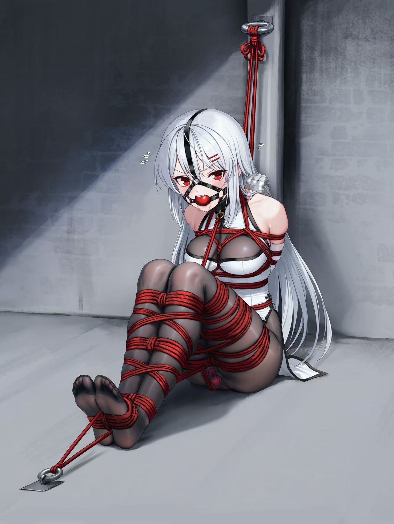 二次元绳艺捆绑美图 29P