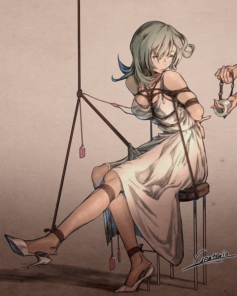 新人首发二次元捆绑图 29P