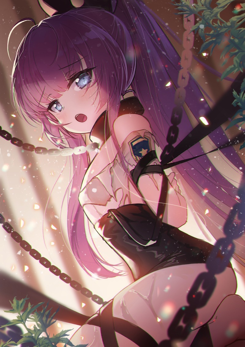 二次元捆绑特辑 Vol.39｜梦幻优雅×暗黑幻想｜40张高清大图 [40P]