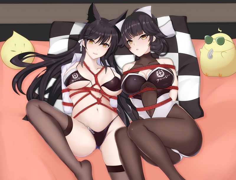 二次元绳艺图鉴Vol.24｜多样绳缚艺术 [40P]