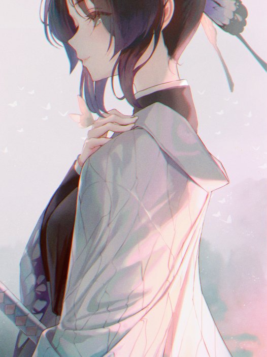 鬼灭之刃蝴蝶忍手机全面屏壁纸8P