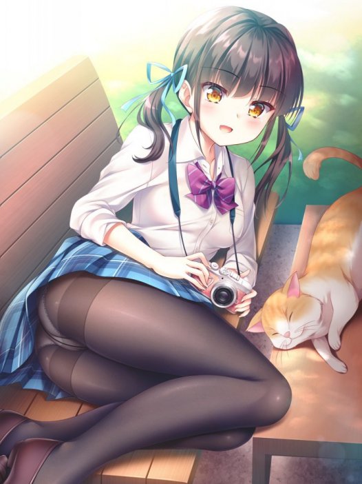 二次元黑丝控：和妹子一起摄影吧 38P