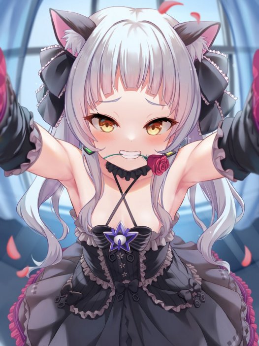 可爱的二次元兽耳娘图片 40P