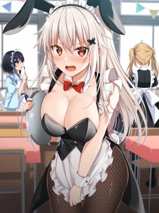 二次元性感兔女郎图片 40P