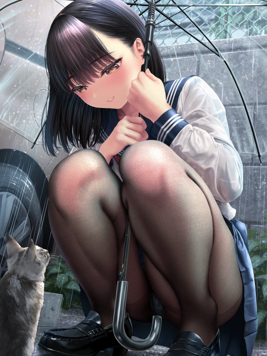 二次元黑丝美腿壁纸 40P