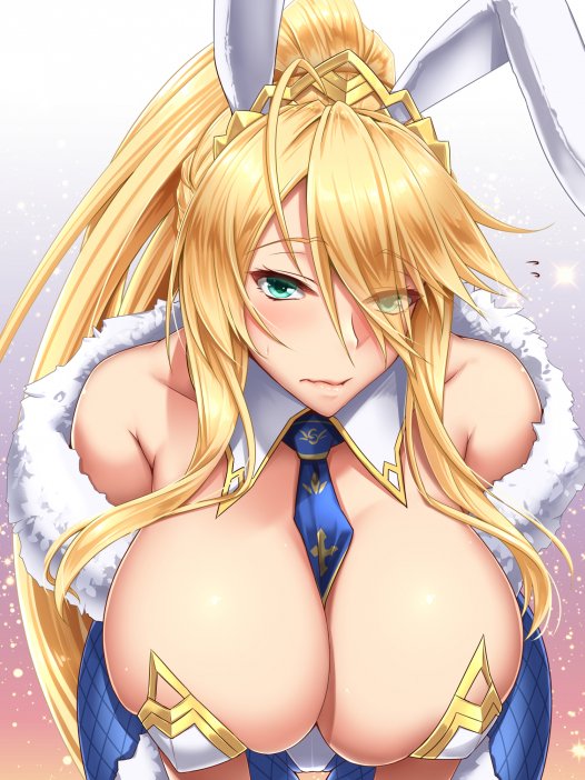 二次元性感巨乳美女图片 40P