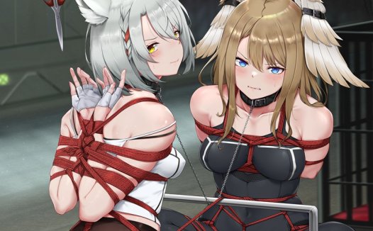 【二次元禁忌美学】绳艺调教全收录Vol.3｜40张极致紧缚×拘束艺术｜4K束缚资源包