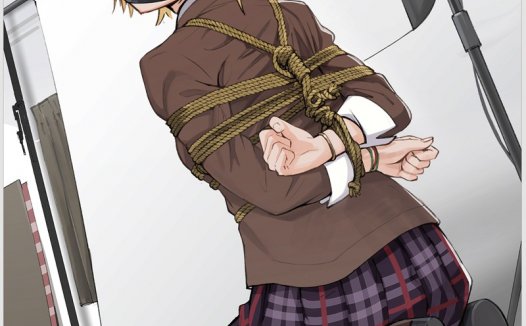 二次元绳艺图鉴Vol.13｜40张绳艺紧缚图｜绳结×捆绑×超清图包