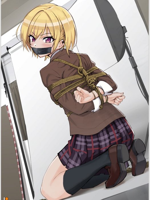 二次元绳艺图鉴Vol.13|40张绳艺紧缚图|绳结×捆绑×超清图包