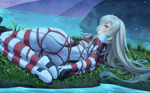 二次元捆绑杂图 29P