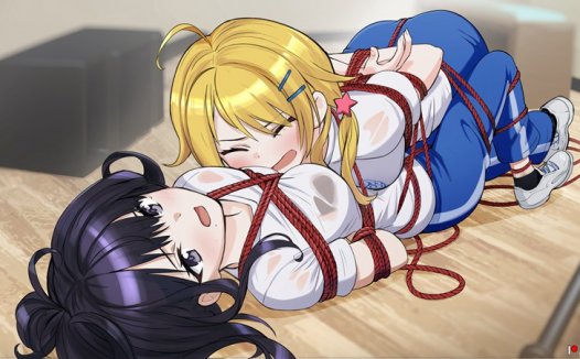 二次元绳艺图鉴Vol.18｜41张绳艺紧缚图｜麻绳×捆绑×超清图包