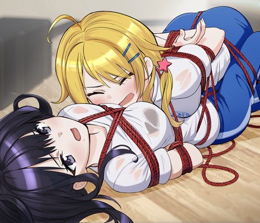 二次元绳艺图鉴Vol.18｜41张绳艺紧缚图｜麻绳×捆绑×超清图包