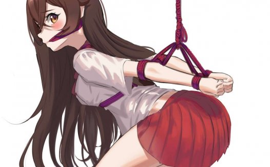 二次元捆绑图：原神捆绑 36P