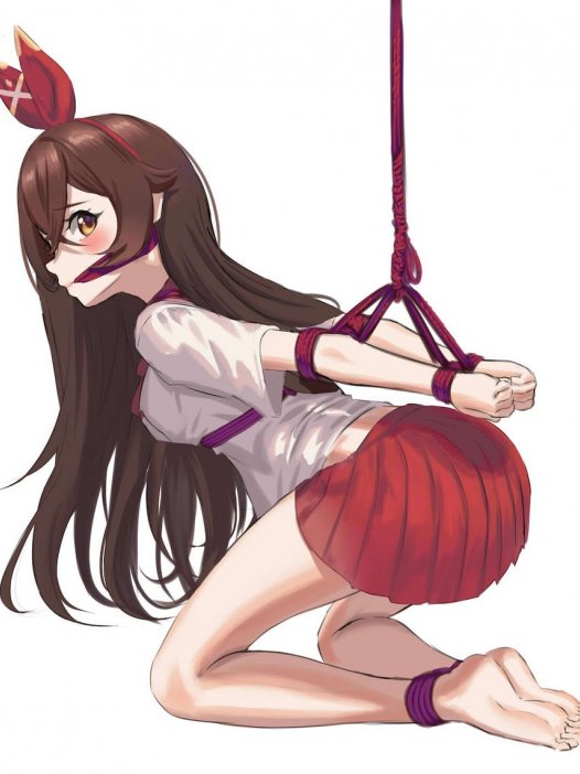 二次元捆绑图:原神捆绑 36P