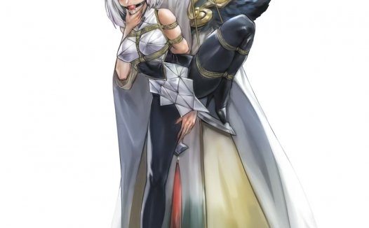 二次元捆绑美图 21P